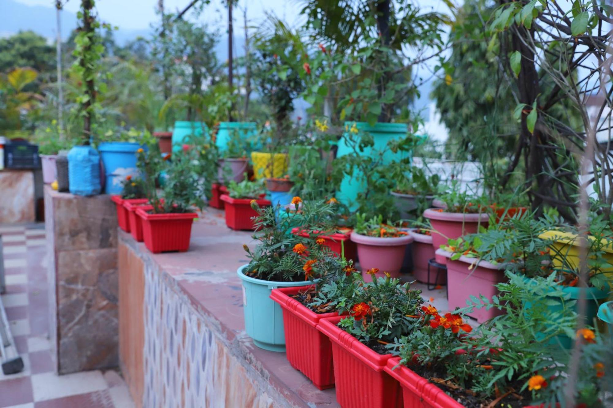 Madhuban Homestay, Natraj Chowk