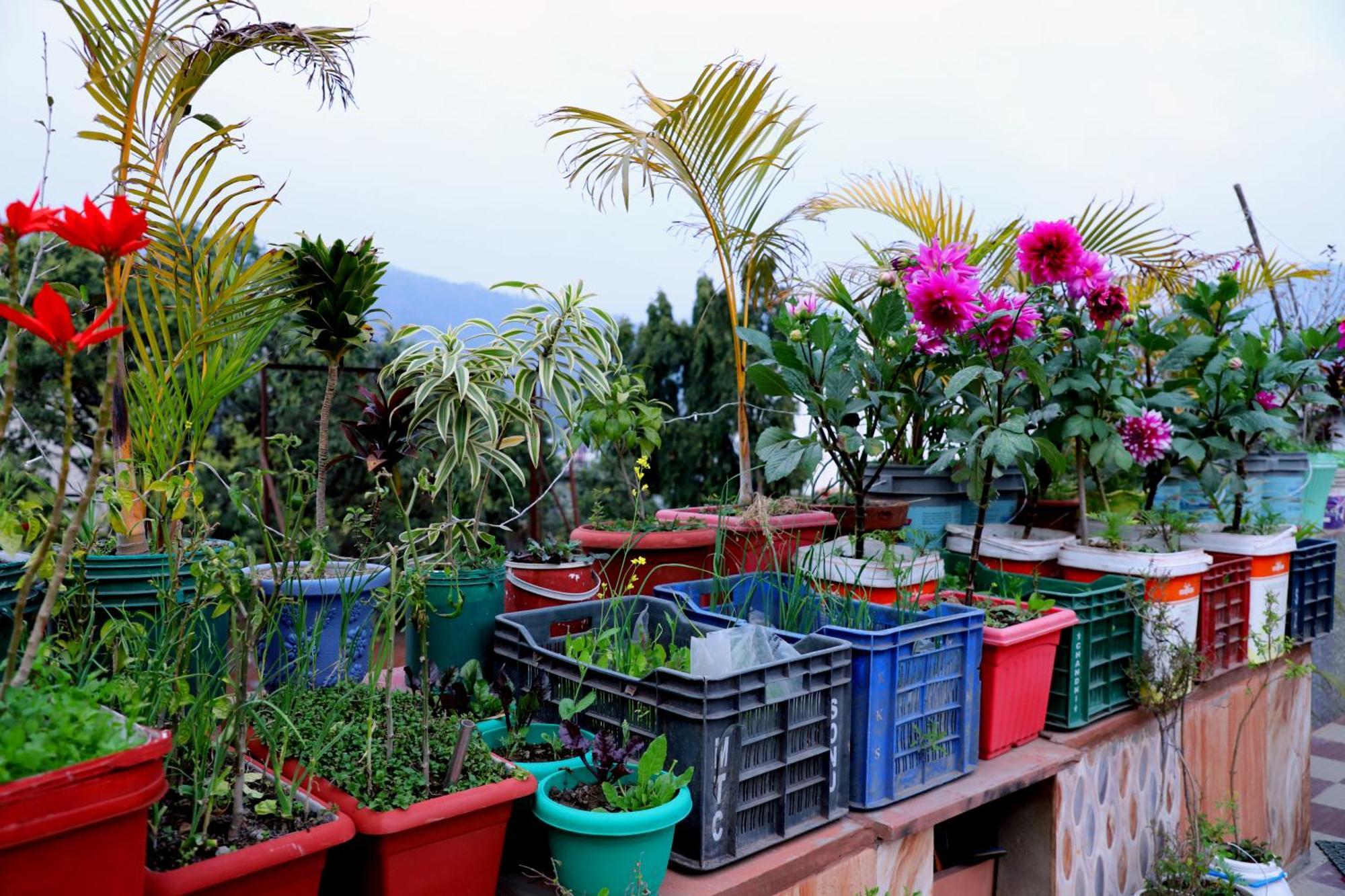 Homestay Madhuban Homestay, Natraj Chowk